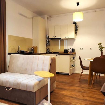 Garden City Studio Sibiu Eksteriør bilde